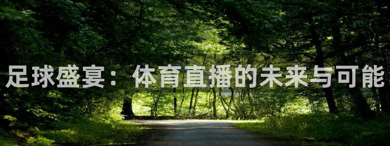足球盛宴：体育直播的未来与可能