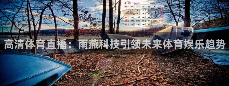 高清体育直播：雨燕科技引领未来体育娱乐趋势