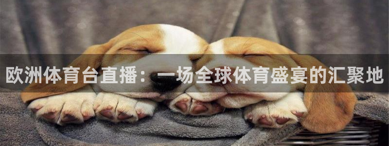 欧洲体育台直播：一场全球体育盛宴的汇聚地