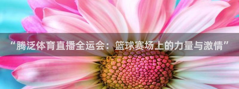 “腾泛体育直播全运会：篮球赛场上的力量与激情”