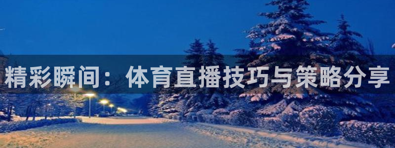 精彩瞬间：体育直播技巧与策略分享