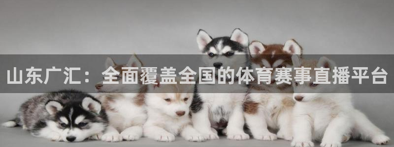 山东广汇：全面覆盖全国的体育赛事直播平台