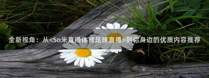 全新视角：从<So米直播体育足球直播>到你身边的优质内容推荐