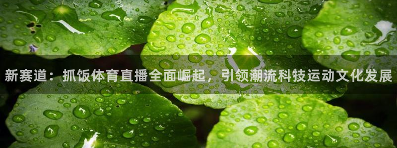 新赛道：抓饭体育直播全面崛起，引领潮流科技运动文化发展