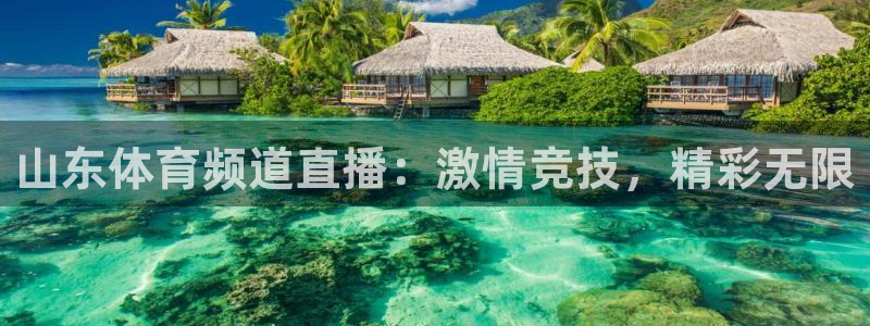 山东体育频道直播：激情竞技，精彩无限