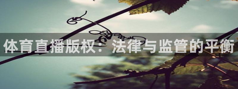 体育直播版权：法律与监管的平衡
