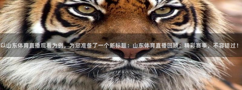 以山东体育直播观看为例，为您准备了一个新标题：山东体育直播回顾：精彩赛事，不容错过！