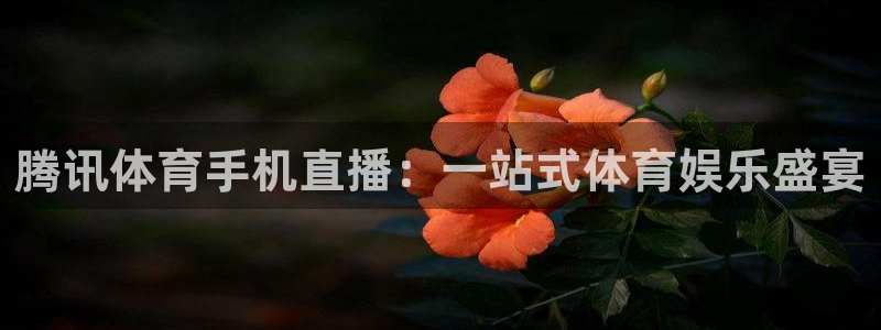 腾讯体育手机直播：一站式体育娱乐盛宴