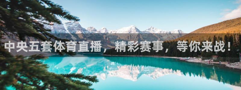 中央五套体育直播，精彩赛事，等你来战！