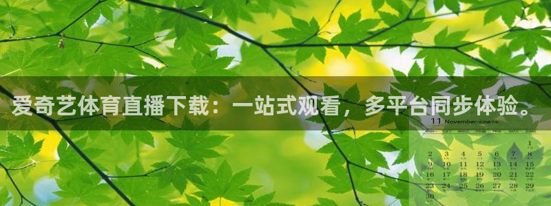 爱奇艺体育直播下载：一站式观看，多平台同步体验。