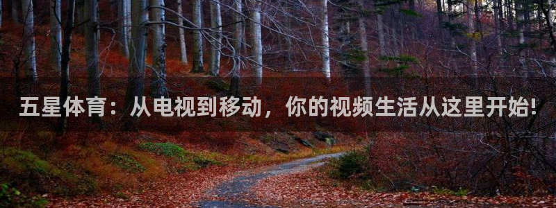 五星体育：从电视到移动，你的视频生活从这里开始!