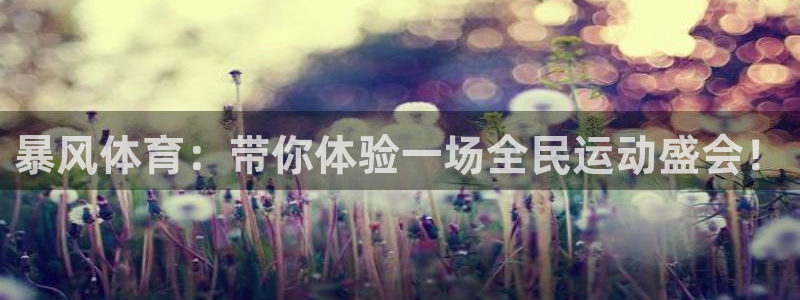 暴风体育：带你体验一场全民运动盛会！