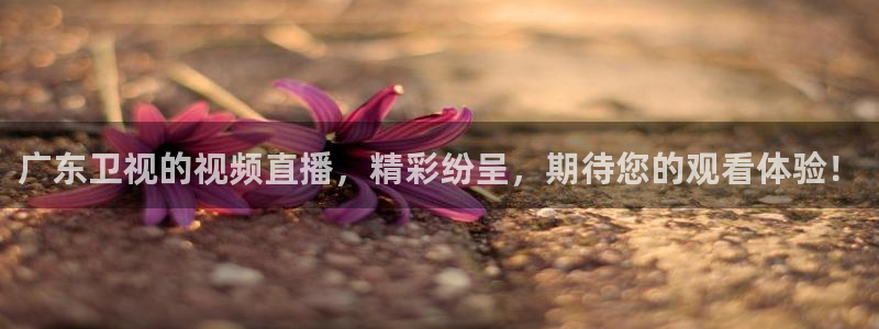 广东卫视的视频直播，精彩纷呈，期待您的观看体验！
