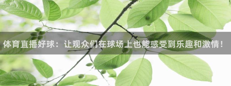 体育直播好球：让观众们在球场上也能感受到乐趣和激情！