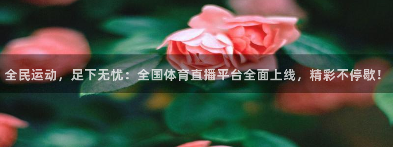 全民运动，足下无忧：全国体育直播平台全面上线，精彩不停歇！