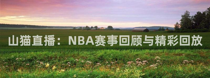 山猫直播：NBA赛事回顾与精彩回放