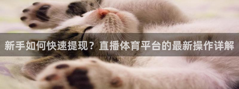 新手如何快速提现？直播体育平台的最新操作详解