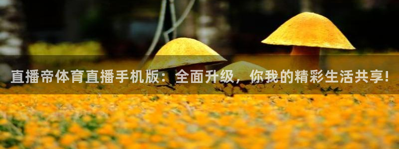 直播帝体育直播手机版：全面升级，你我的精彩生活共享!