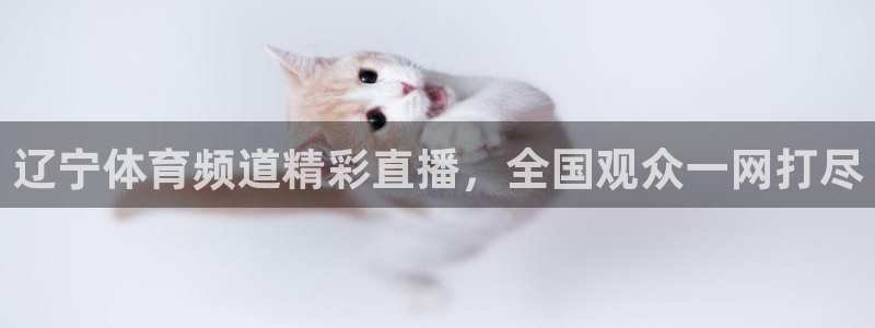 辽宁体育频道精彩直播，全国观众一网打尽