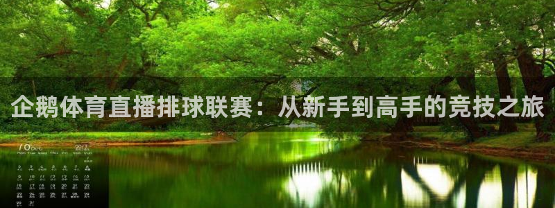 企鹅体育直播排球联赛：从新手到高手的竞技之旅