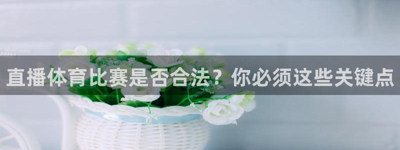 直播体育比赛是否合法？你必须这些关键点