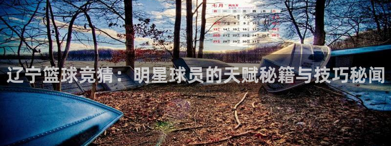 辽宁篮球竞猜：明星球员的天赋秘籍与技巧秘闻