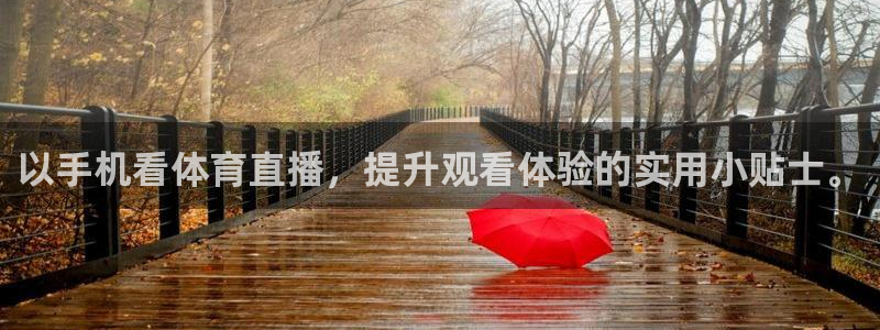 以手机看体育直播，提升观看体验的实用小贴士。