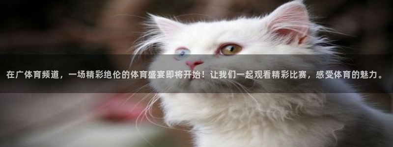 在广体育频道，一场精彩绝伦的体育盛宴即将开始！让我们一起观看精彩比赛，感受体育的魅力。