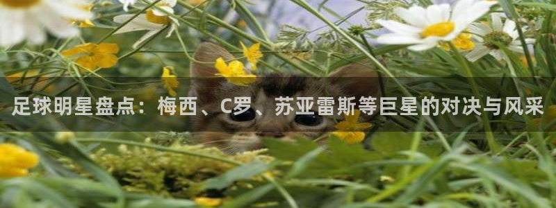 足球明星盘点：梅西、C罗、苏亚雷斯等巨星的对决与风采