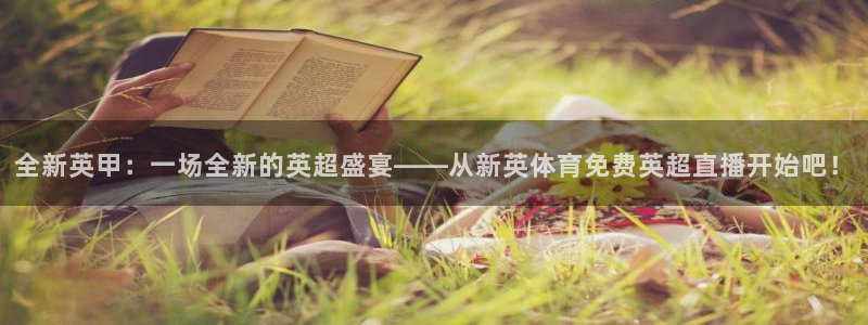 全新英甲：一场全新的英超盛宴——从新英体育免费英超直播开始吧！