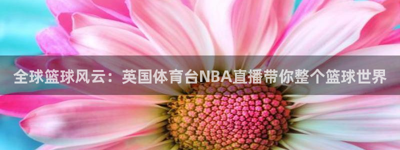 全球篮球风云：英国体育台NBA直播带你整个篮球世界
