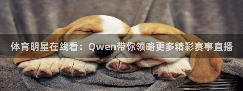 体育明星在线看：Qwen带你领略更多精彩赛事直播